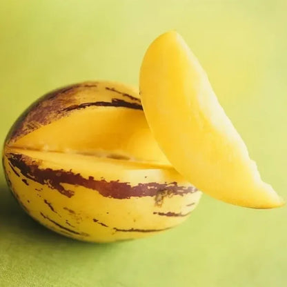 🌿✨Ginseng fruit seeds: Discover the power of nature in your garden! 🌱BUY 1 GET 1 FREE! 🌱🌿
