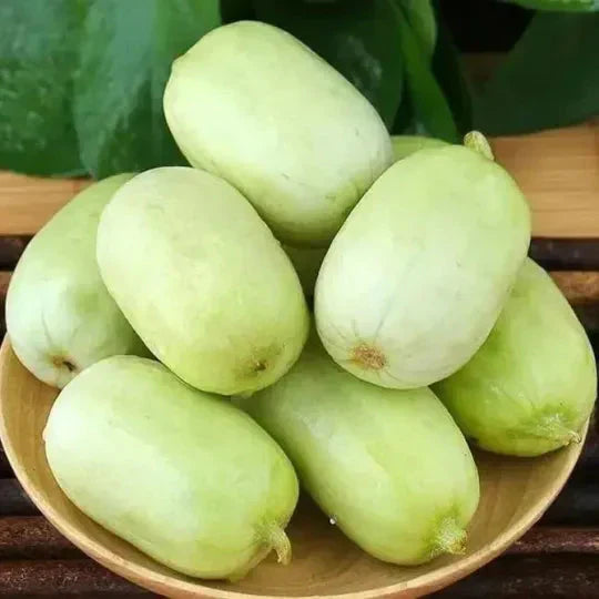 Golden Lady Cucumber Seed