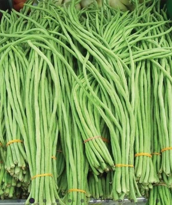 Super-Long Green Bean Seeds (Buy 1 Get 1 Free)