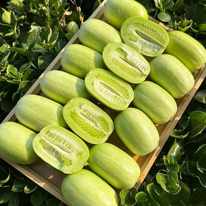 Golden Lady Cucumber Seed