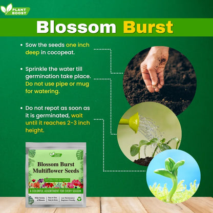 Plant Boost Combo (3 Plant Boost Packs with FREE 2 Flower Seed Packs)