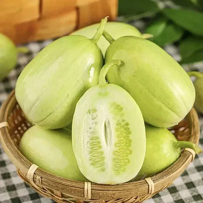 Golden Lady Cucumber Seed