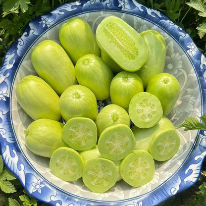 Golden Lady Cucumber Seed