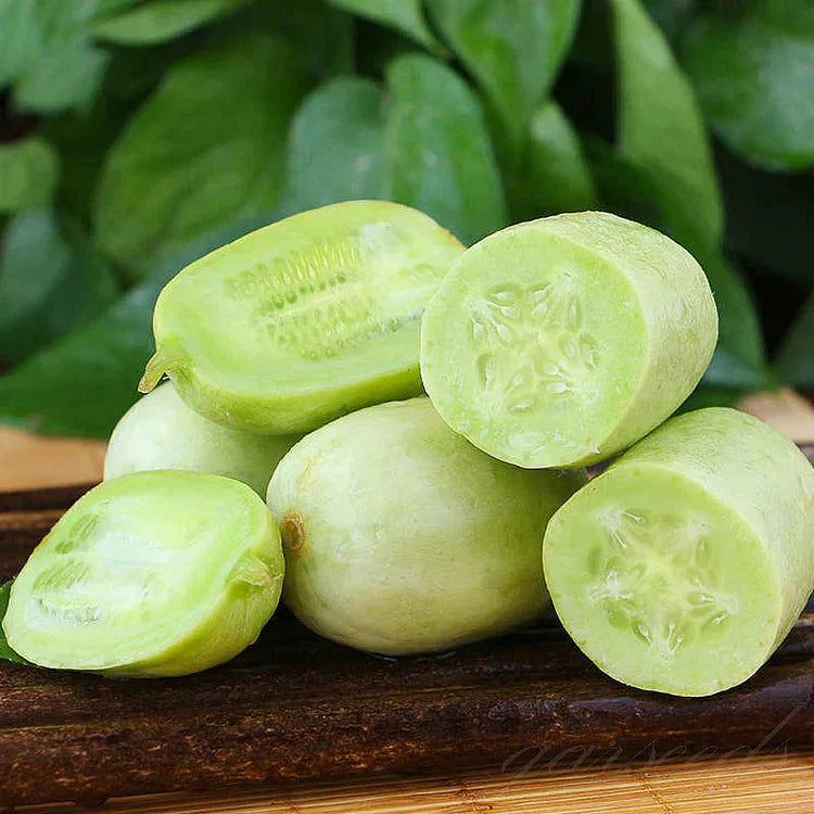 Golden Lady Cucumber Seed